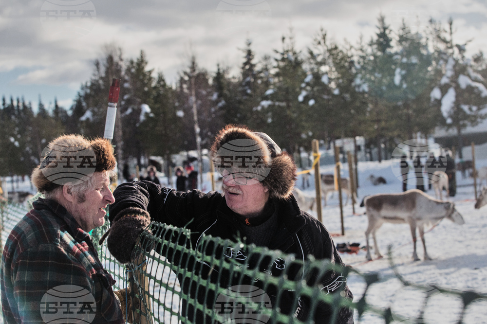 Finland Reindeer Racing