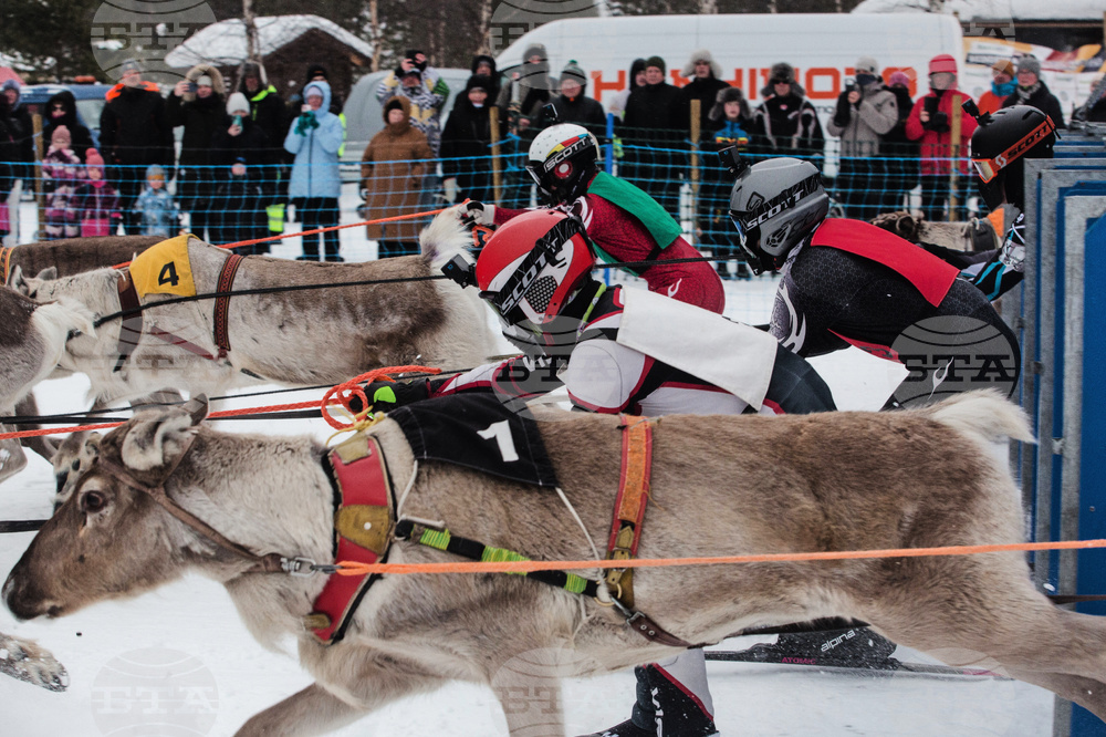Finland Reindeer Racing