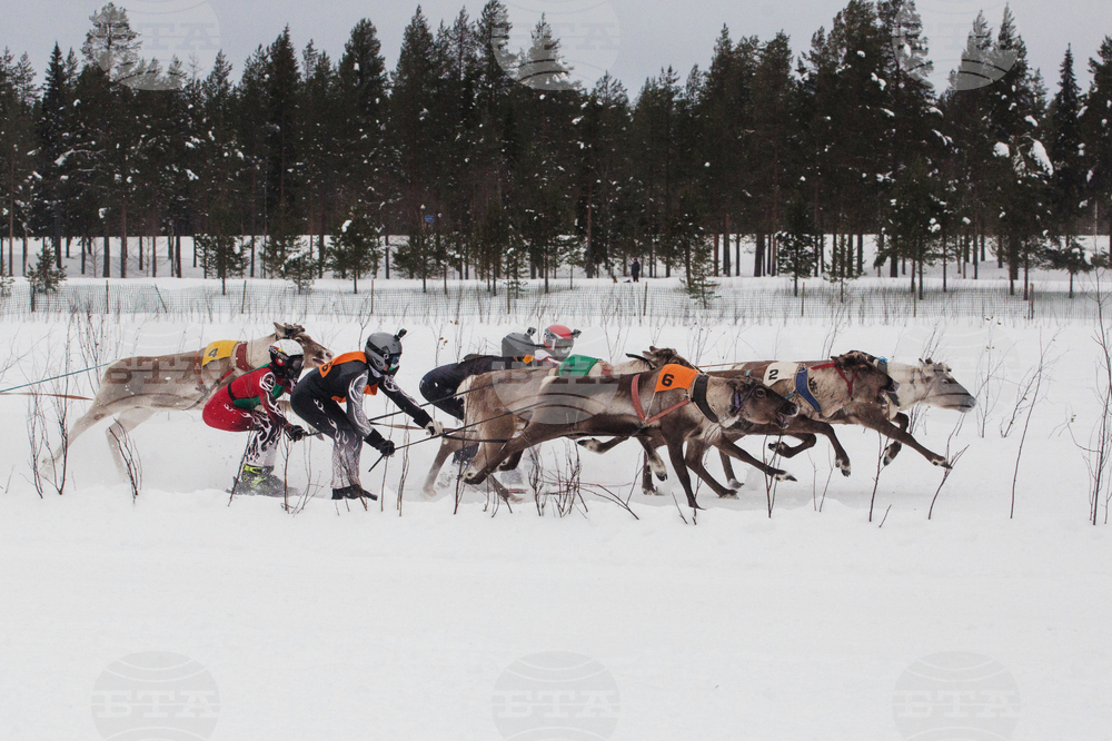 Finland Reindeer Racing