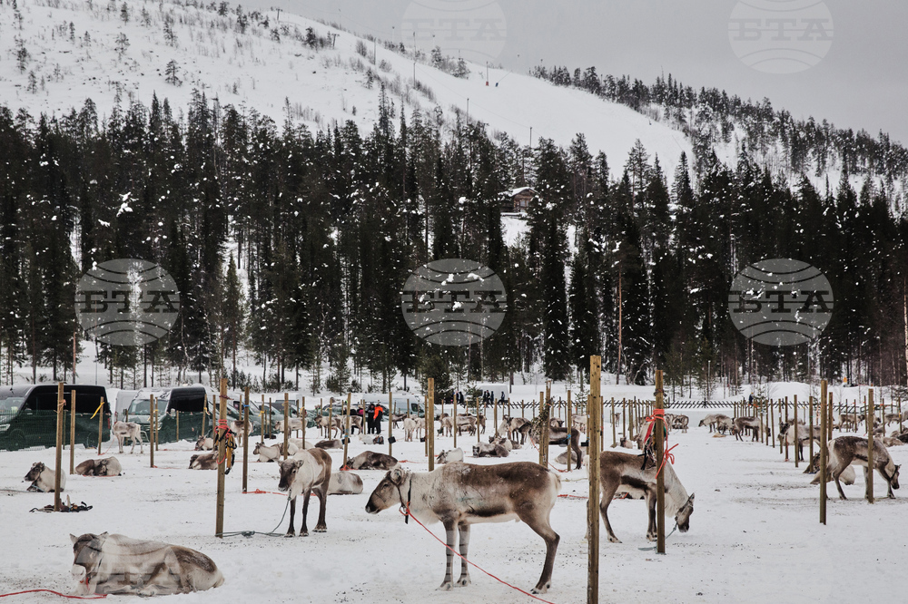 Finland Reindeer Racing