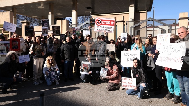 Sofia Residents Demand Tough Sentences Against Suspected Animal Abusers