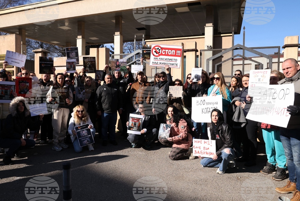 Sofia Residents Demand Tough Sentences Against Suspected Animal Abusers