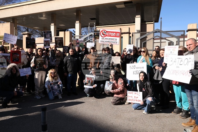 Sofia Residents Demand Tough Sentences Against Suspected Animal Abusers
