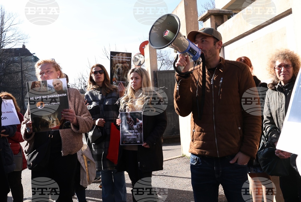 Софийски градски съд - Габриела и Красимир - протест