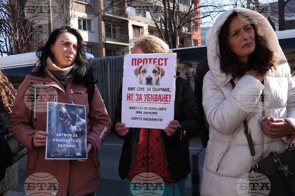 Софийски градски съд - Габриела и Красимир - протест