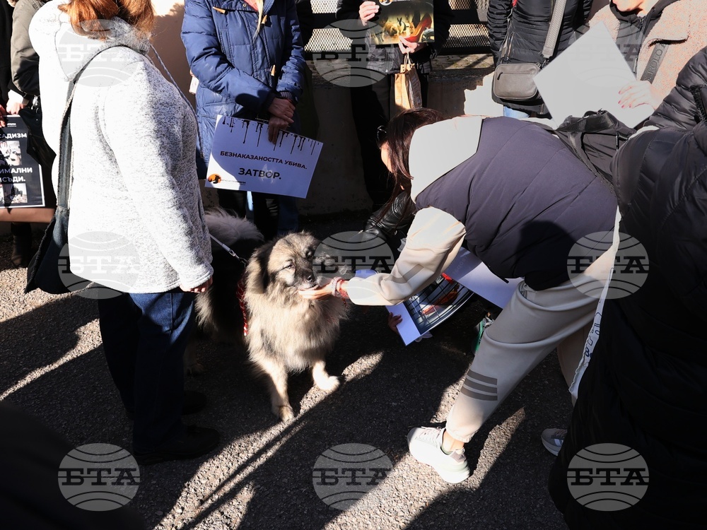 Софийски градски съд - Габриела и Красимир - протест