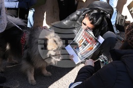 Софийски градски съд - Габриела и Красимир - протест