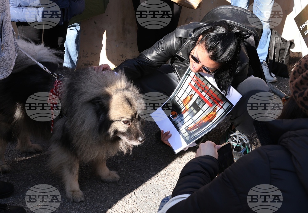 Софийски градски съд - Габриела и Красимир - протест