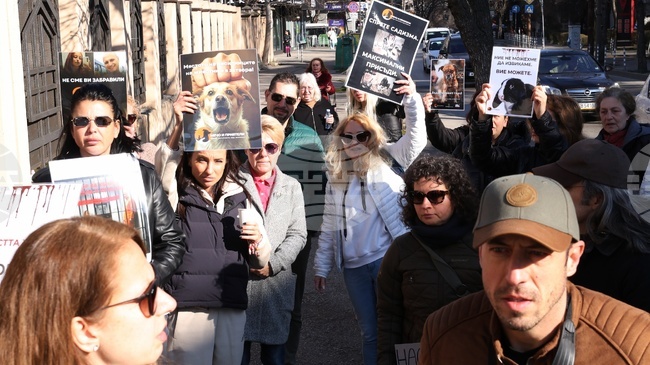Граждани се събраха пред съда на протест срещу насилието над животни и за ефективни присъди за Габриела и Красимир 