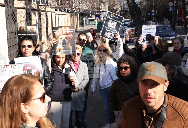 Софийски градски съд - Габриела и Красимир - протест