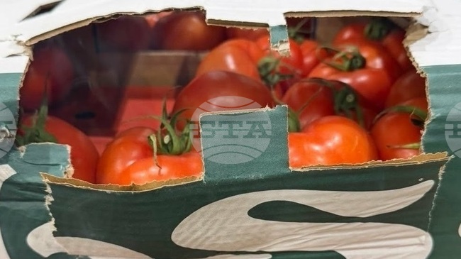 Недекларирани 16 тона зеленчуци установиха митническите служители на ГКПП "Лесово"