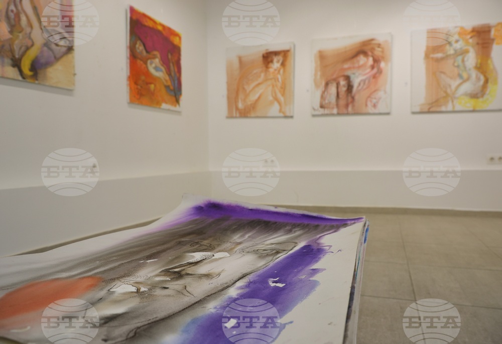 Варна - Петко Петков-Ломски - изложба