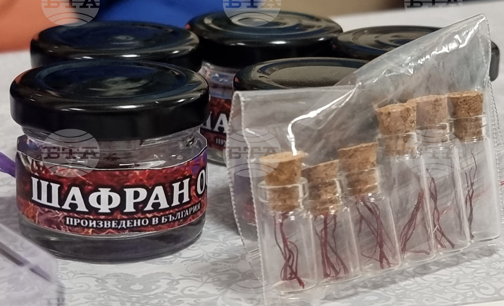 Варна - ученици - национално състезание