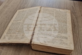 Търговище - Държавен архив-Търговище - Ден на отворените врати