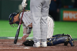WBC Japan Czech Republic Baseball
