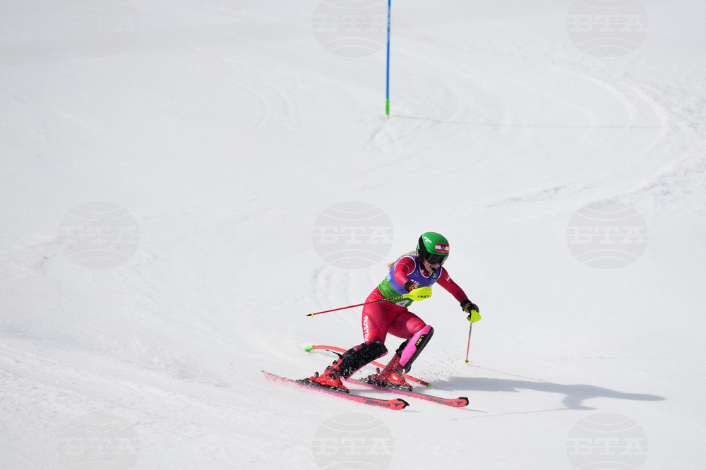Milan Cortina Paralympics Alpine Skiing