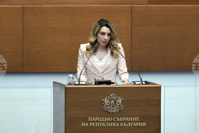 Служебният министър на енергетиката изиска да свикам извънредно заседание на комисията, но няма как да се случи днес, каза Павела Митова