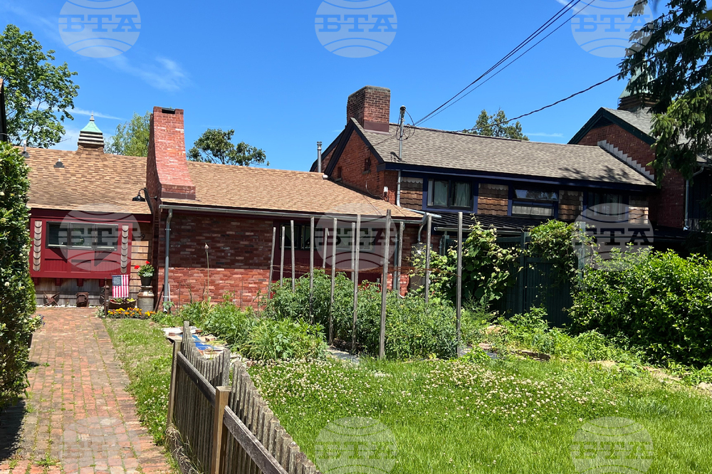 Gardening-Front-Yard Vegetables