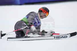 Milan Cortina Paralympics Alpine Skiing