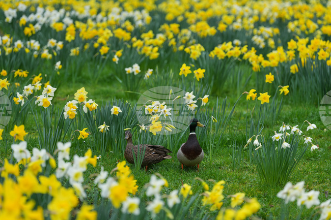 APTOPIX Belgium Daily Life