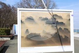 Бургас - фотоизложба - "Цветовете на мъглата"