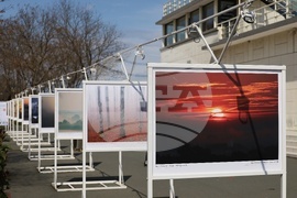 Бургас - фотоизложба - "Цветовете на мъглата"