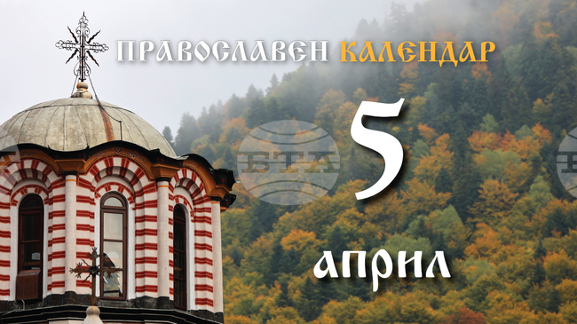 Честваме празника Вход Господен в Йерусалим (Връбница - Цветница)