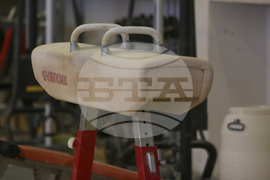 Спортна гимнастика - тренировка - уреди - кон с гривни