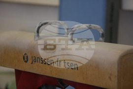 Спортна гимнастика - тренировка - уреди - кон с гривни