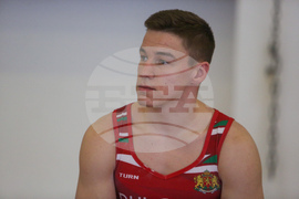 Спортна гимнастика - тренировка - Теодор Трифонов