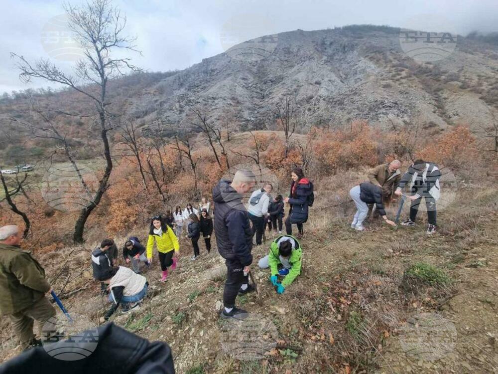 Югозападно държавно предприятие ДП Благоевград: Активно започна Седмицата на гората в обхвата на ЮЗДП: в Дупница горски служители изработваха ръчно награди, а в Благоевград раздаваха фиданки
