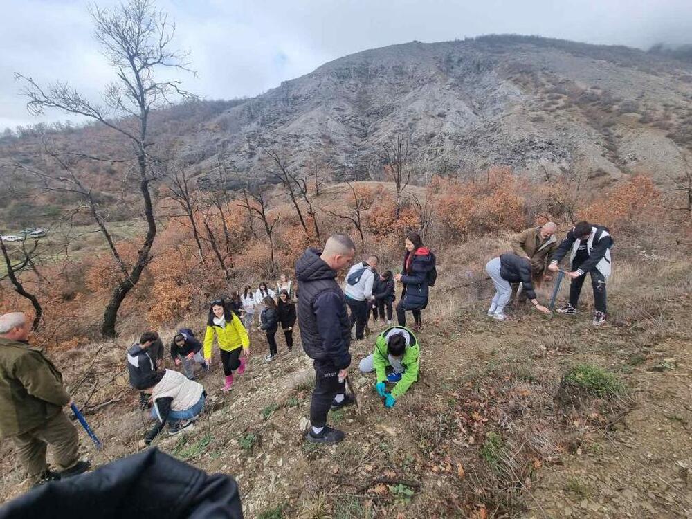 Югозападно държавно предприятие ДП Благоевград: Активно започна Седмицата на гората в обхвата на ЮЗДП: в Дупница горски служители изработваха ръчно награди, а в Благоевград раздаваха фиданки