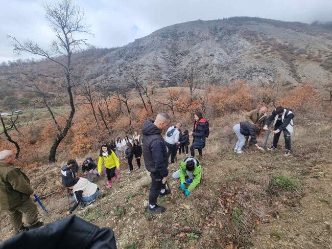 Югозападно държавно предприятие ДП Благоевград: Активно започна Седмицата на гората в обхвата на ЮЗДП: в Дупница горски служители изработваха ръчно награди, а в Благоевград раздаваха фиданки