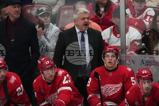 Red WingsX Panthers Hockey