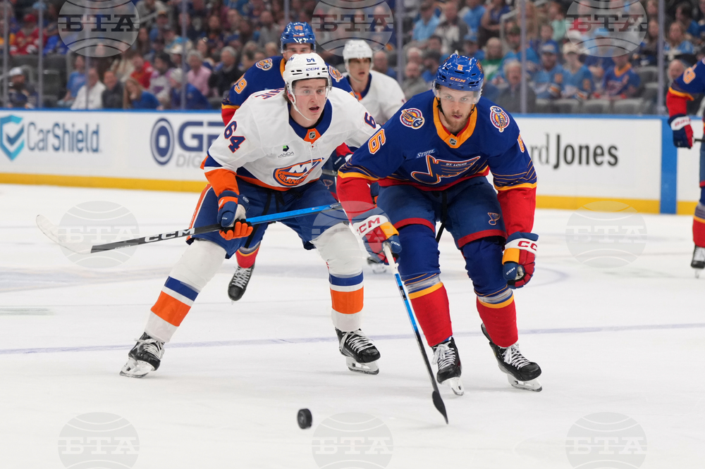 Islanders Blues Hockey