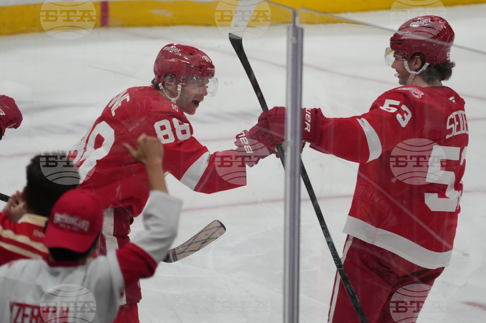 Red WingsX Panthers Hockey