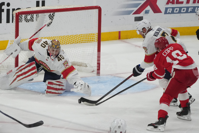 Red Wings Panthers Hockey