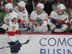 Red Wings Panthers Hockey