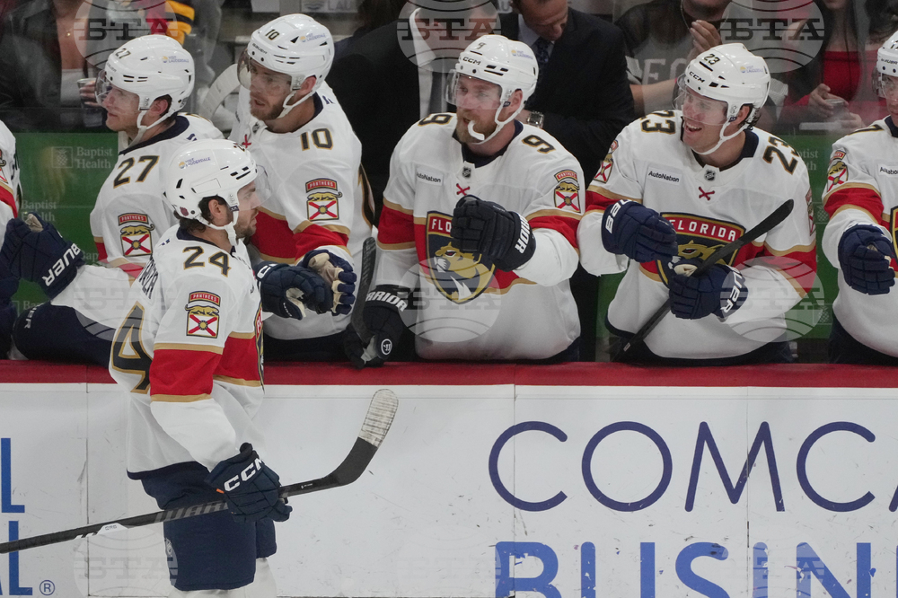 Red Wings Panthers Hockey