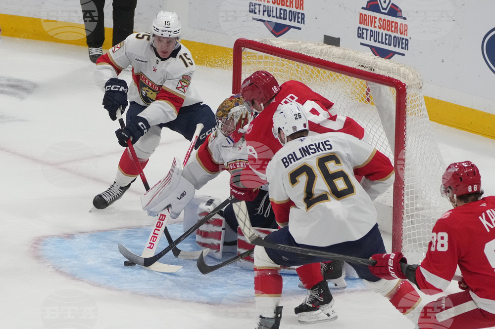 Red Wings Panthers Hockey