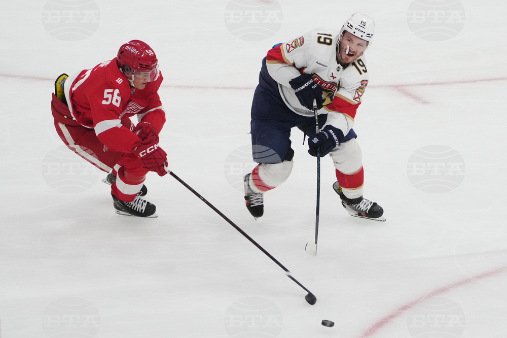 Red Wings Panthers Hockey