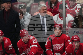 Red Wings Panthers Hockey