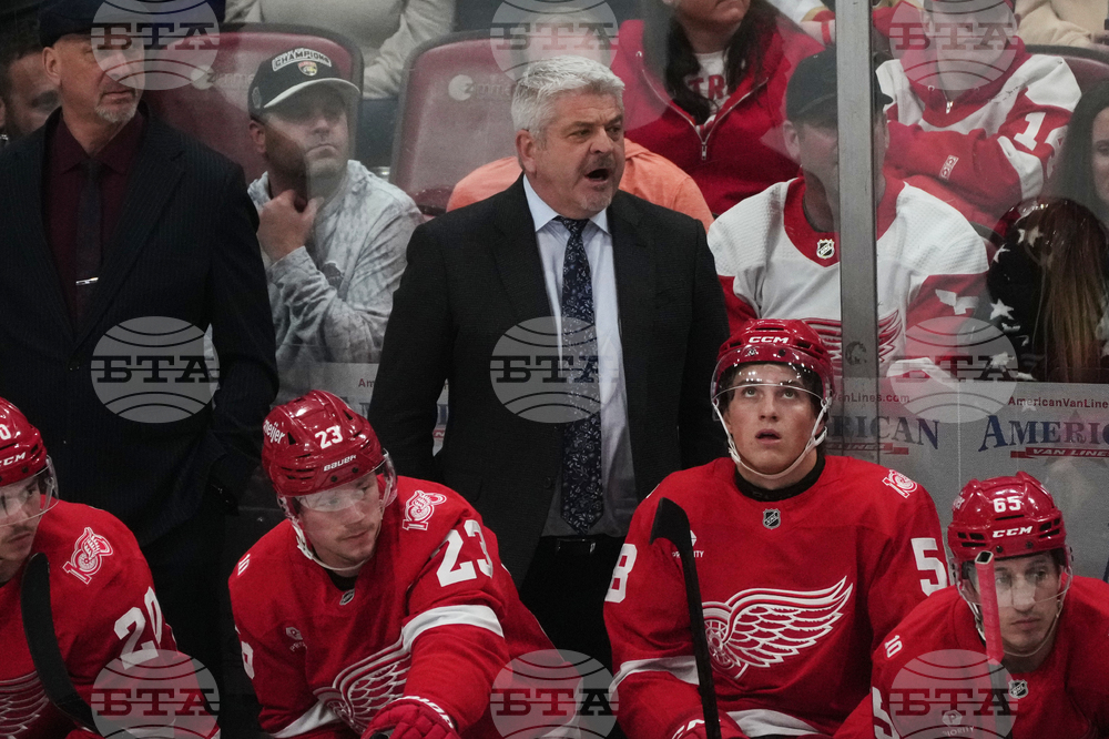 Red Wings Panthers Hockey