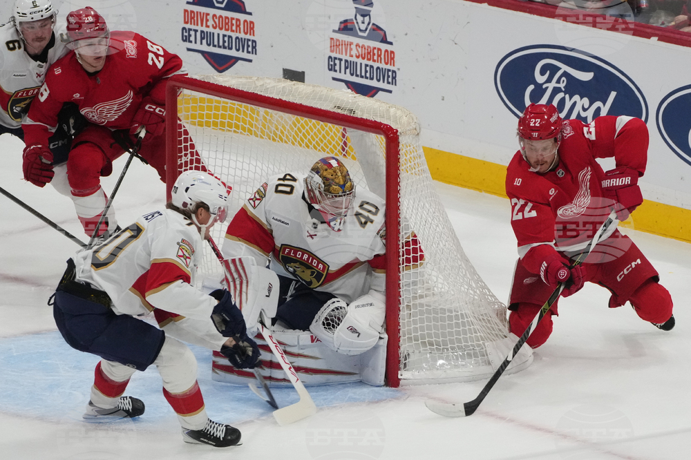 Red Wings Panthers Hockey