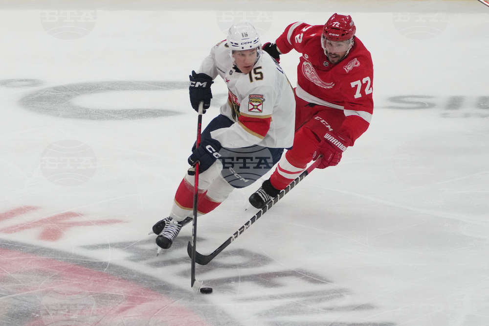 Red Wings Panthers Hockey