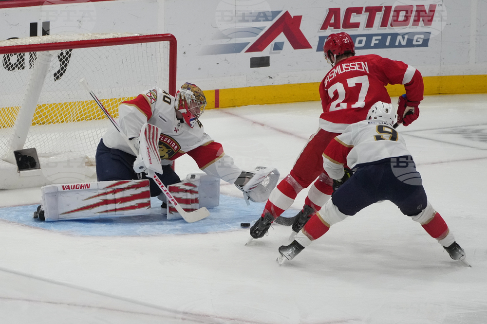 Red WingsX Panthers Hockey