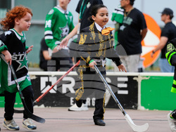 Golden Knights Stars Hockey