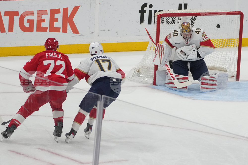 Red Wings Panthers Hockey