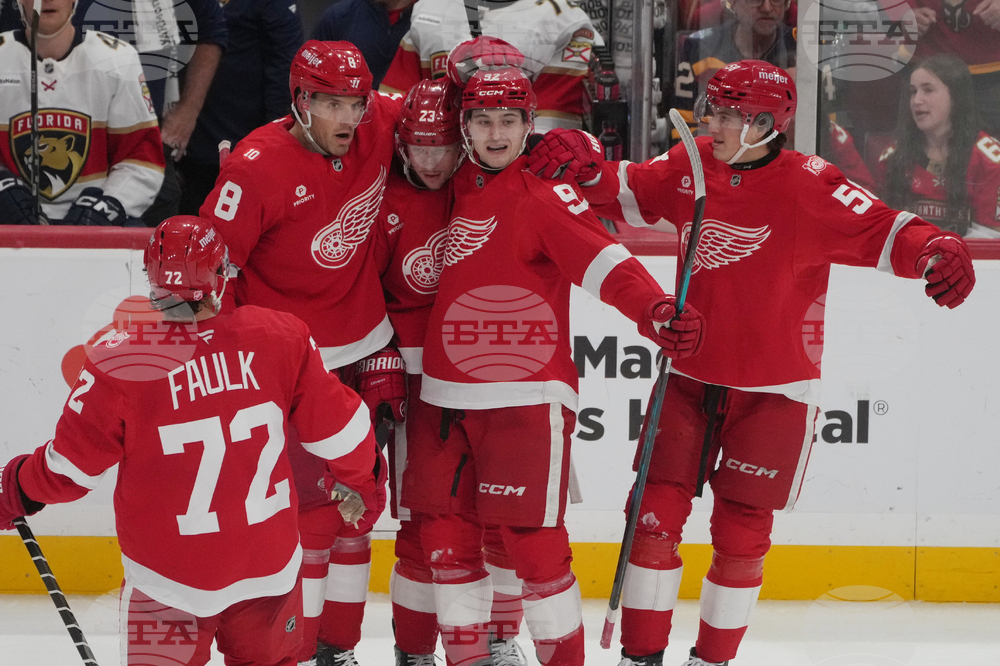 Red Wings Panthers Hockey