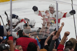 Red Wings Panthers Hockey